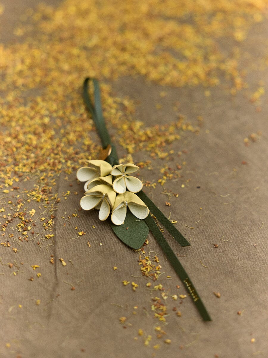 Osmanthus Charm - Image 2