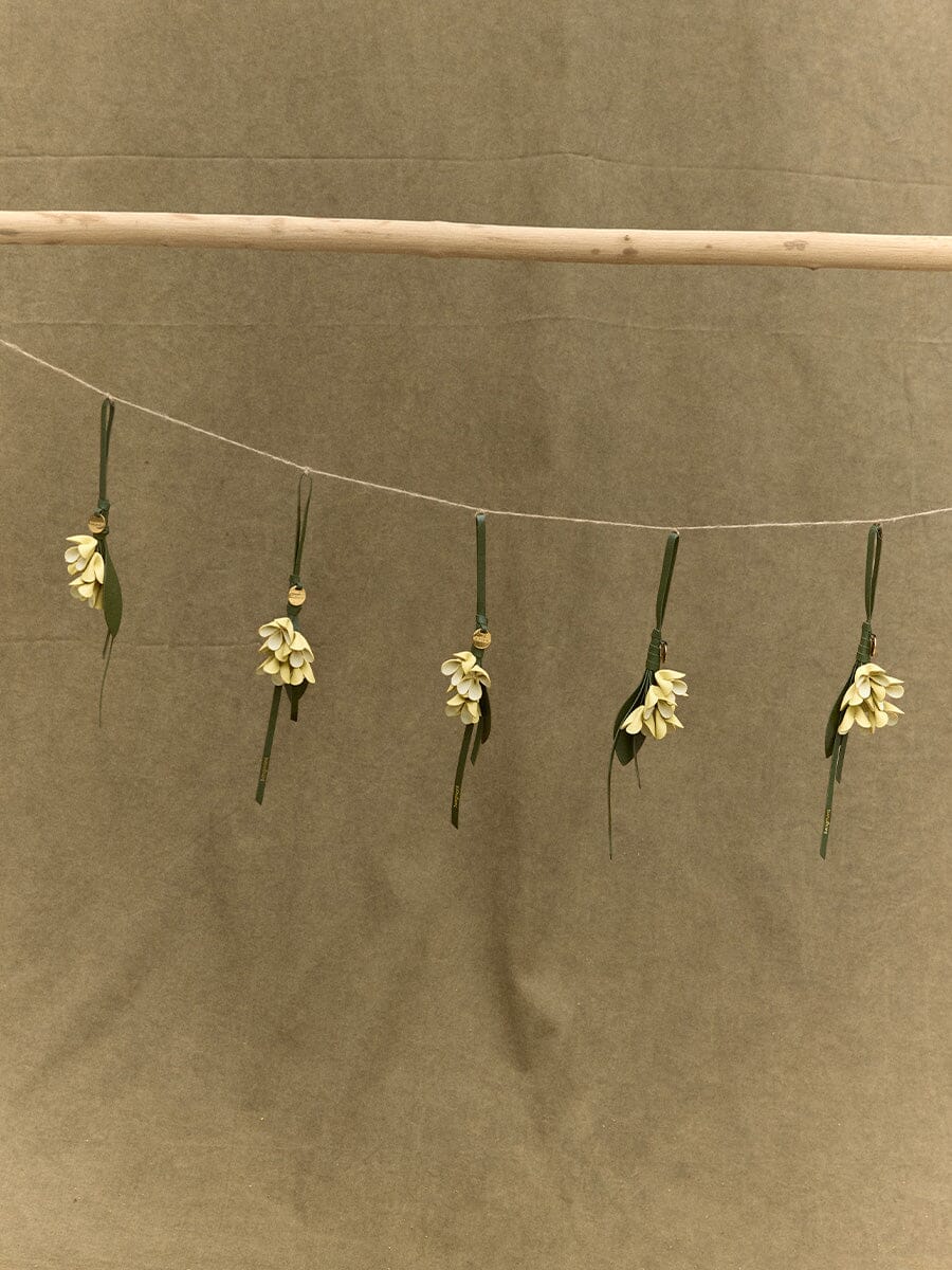 Osmanthus Charm - Image 4